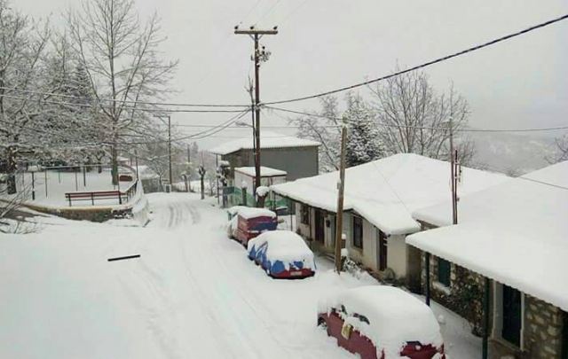 Πολύ το χιόνι στο Γαρδίκι Ομιλαίων!