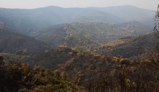 Φωτιά στον Έβρο: Σε ύφεση η μεγάλη πυρκαγιά - Στάχτη 930.000 στρέμματα γης