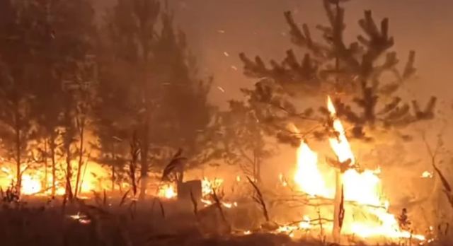 Φλέγεται η Ρωσία: Κάηκαν 117.000 στρέμματα