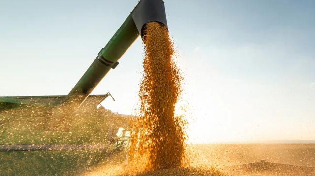 Στο ίδιο τραπέζι Ουκρανία-Ρωσία: Τα «5» βασικά σημεία της συμφωνίας για τα σιτηρά - Ο ρόλος της Τουρκίας