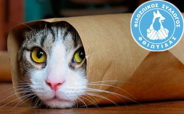 Ο Φιλοζωικός Σύλλογος Φθιώτιδας κόβει την πίτα του