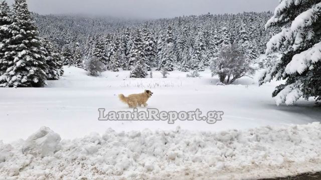 Έκτακτο δελτίο: Τα νέα δεδομένα για το «διπλό» χιονιά που έρχεται