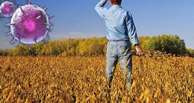 Περιφέρεια Στερεάς: Άμεσα μέτρα στήριξης των αγροτών λόγω Covid-19