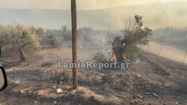 Δωρεάν λεπτά ομιλίας για πυρόπληκτους σε Βοιωτία και Εύβοια