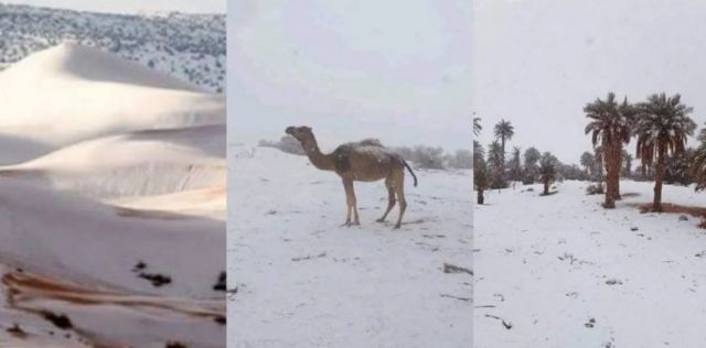 Χιόνισε στην έρημο της Αλγερίας - Ασυνήθιστες εικόνες