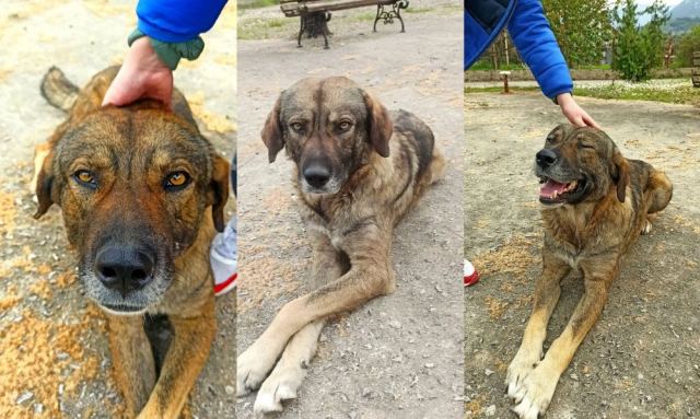 Ποιος θα υιοθετήσει αυτόν τον κούκλο? (ΦΩΤΟ-ΒΙΝΤΕΟ)