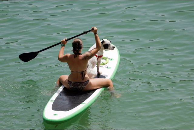 Ισπανία: Πιάνει 43 βαθμούς η θερμοκρασία – Εξαπλώνεται στην Γαλλία ο ανυπόφορος καύσωνας