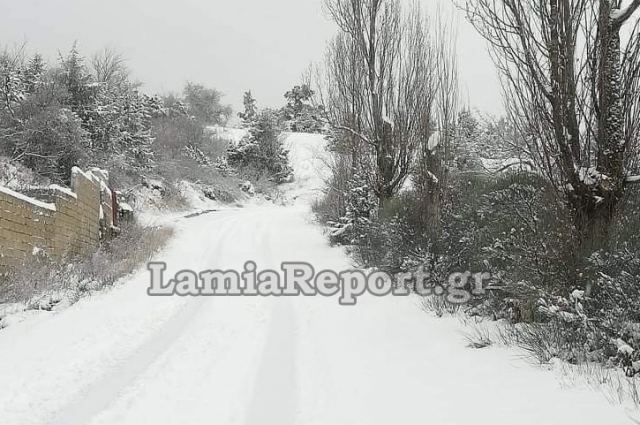 Χιονιάς: Που χρειάζονται αλυσίδες στη Στερεά