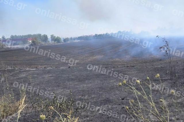 Λάρισα: Σε ύφεση οι πυρκαγιές – Μάχη με 6 μποφόρ και 55 βαθμούς Κελσίου θερμοκρασία εδάφους