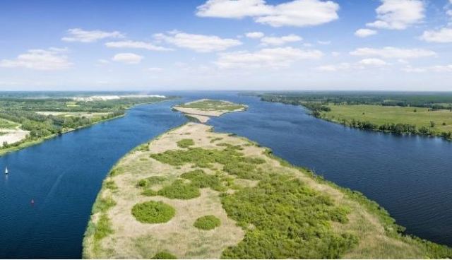 Γερμανία: Μυστήριο με μαζικό θάνατο ψαριών στον ποταμό Όντερ - 