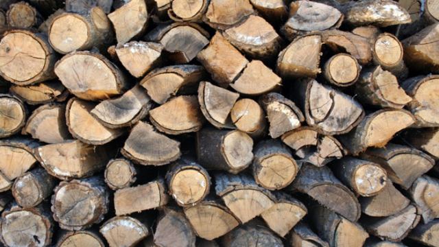 Συνελήφθη επ’ αυτοφώρω να κλέβει ξύλα