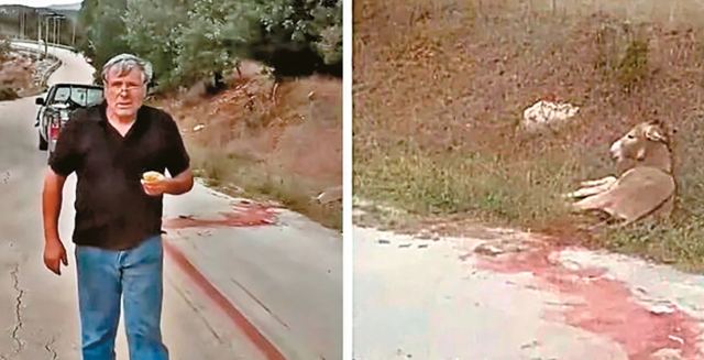 Ζίτσα: Απαγόρευση απόκτησης νέων ζώων επιβλήθηκε στον αντιδήμαρχο που βασάνισε το γαϊδουράκι