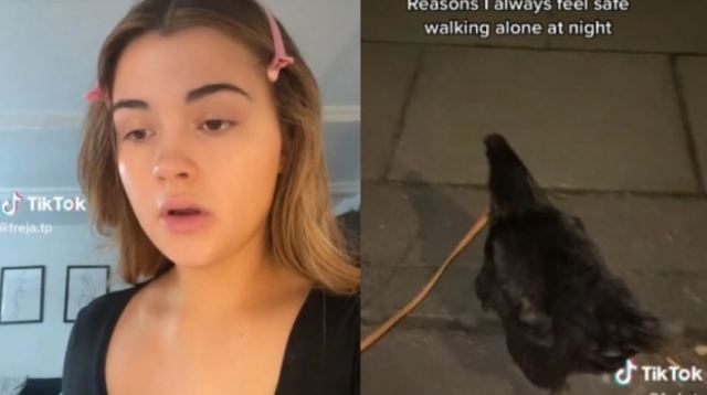 Influencer πηγαίνει βόλτες στους δρόμους της Αμερικής με συντροφιά... ένα κοτόπουλο (ΒΙΝΤΕΟ)