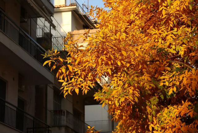 Φθινοπωρινή ισημερία: Αύριο (23/9) ξεκινά και τυπικά το φθινόπωρο