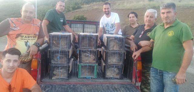 Απελευθέρωση λαγών για εμπλουτισμό βιοτόπων από τον Κυνηγετικό Σύλλογο Λαμίας