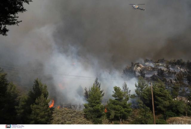 Πυρκαγιά στη Χασιά - Ισχυρές δυνάμεις της πυροσβεστικής στην περιοχή
