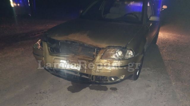 Φθιώτιδα: Τεράστιο αγριογούρουνο προκάλεσε τροχαίο - ΦΩΤΟ