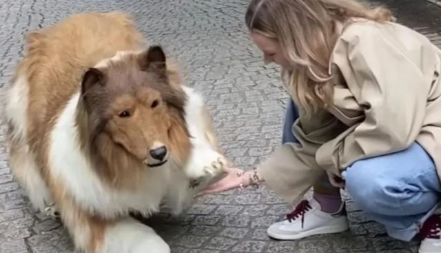 Η απάντηση του άντρα που ξόδεψε μια περιουσία για να γίνει σκύλος σε όσους του λένε να δει ψυχολόγο