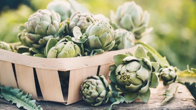 Το λαχανικό - φάρμακο για ήπαρ, χοληστερόλη και πεπτικό