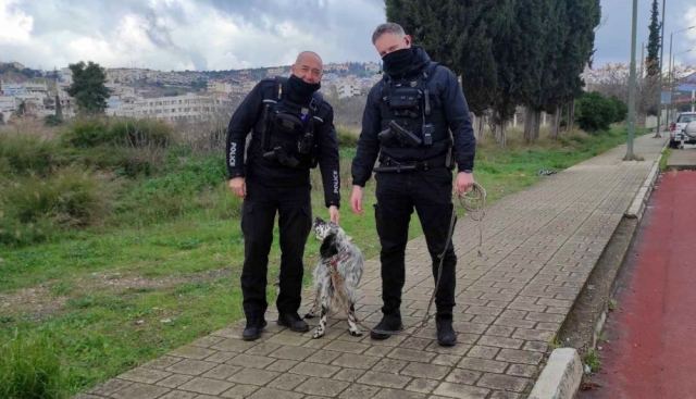 Η ομάδα ΔΙΑΣ βρήκε το χαμένο σκυλάκι