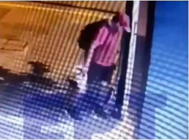 Θεσσαλονίκη: Άνδρας τσαλαπάτησε και σκότωσε γατάκι – Βίντεο ντοκουμέντο