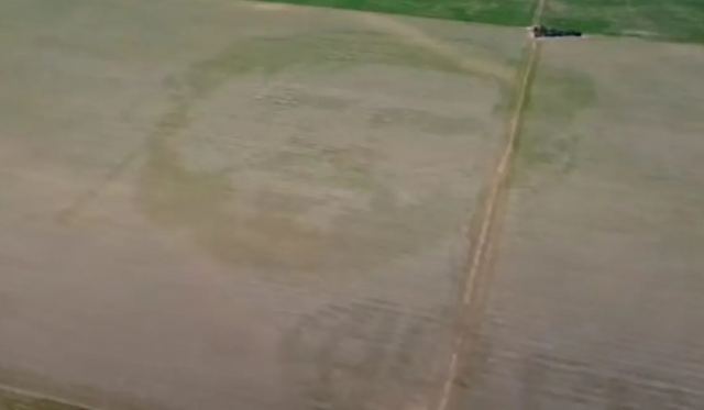 Αγρότης στην Αργεντινή δημιούργησε τη μορφή του Μέσι σε χωράφι με καλαμπόκι - Δείτε βίντεο