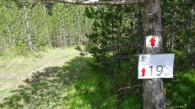 Σχεδόν 1 εκ. για το ψηφιακό αποτύπωμα Παρνασσού και Οίτης