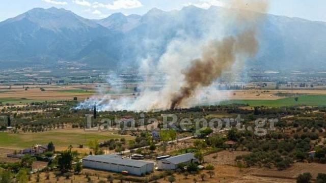 Πυρκαγιές σε Ελάτεια και Δομοκό (ΦΩΤΟ)