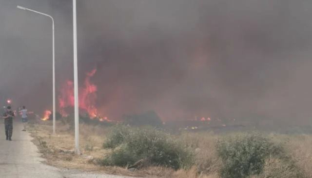 Φωτιά στη Λέσβο: «Τραγική η κατάσταση» - Τραυματίστηκε πυροσβέστης