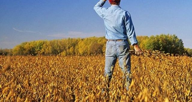 Πρόσκληση ενίσχυσης μικρών γεωργικών εκμεταλλεύσεων