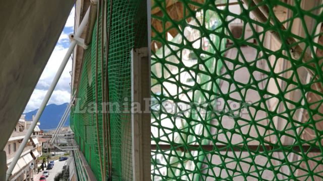 Λαμία: Τελείωσε ο εφιάλτης με τα περιστέρια (ΒΙΝΤΕΟ-ΦΩΤΟ)