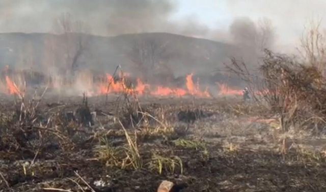 Πυρκαγιά στην Κουβέλα (ΒΙΝΤΕΟ)