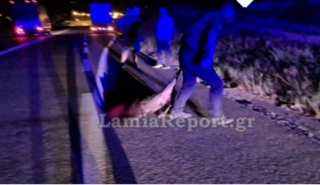 Σκοτώθηκε 25χρονος σε τροχαίο με αγριογούρουνο