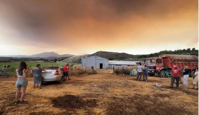 Αποζημίωση φυτικών μέσων παραγωγής που επλήγησαν από τις πυρκαγιές του καλοκαιριού
