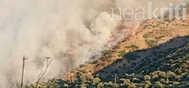 Ρέθυμνο: Ανεξέλεγκτη η νέα φωτιά στις Μέλαμπες - Θυελλώδεις άνεμοι δυσκολεύουν το έργο των εναέριων μέσων