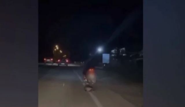 Νέο περιστατικό κακοποίησης ζώου: Ασυνείδητος σέρνει ασβό με το μηχανάκι του