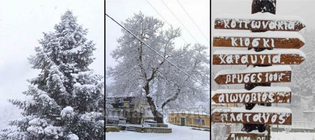 Δείτε όμορφες εικόνες από το Λυχνό Φθιώτιδας ντυμένο στα λευκά!