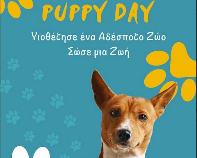 Ο Δήμος Λαμιέων γιορτάζει την Πέμπτη την Παγκόσμια Ημέρα Αδέσποτων Ζώων στην Πλ. Ελευθερίας