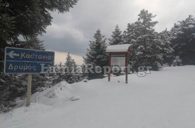 Χιόνισε πάλι στα ορεινά χωριά της Λαμίας - Προσοχή στον παγετό