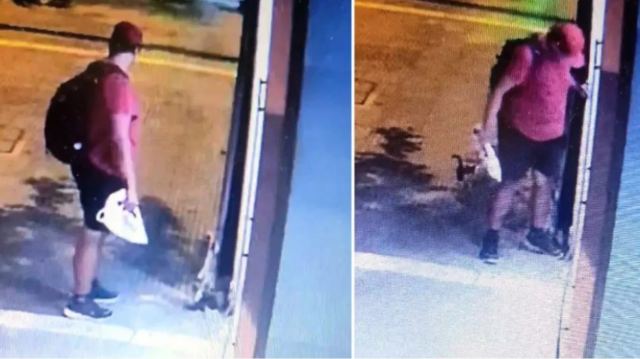 Έκκληση στα social media για να εντοπιστεί ο άνδρας που ποδοπάτησε το γατάκι στη Θεσσαλονίκη