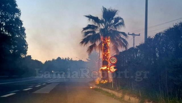 Φθιώτιδα: Κινδύνευσε από πυρκαγιά το ξενοδοχείο «Λεβέντης» (ΦΩΤΟ)