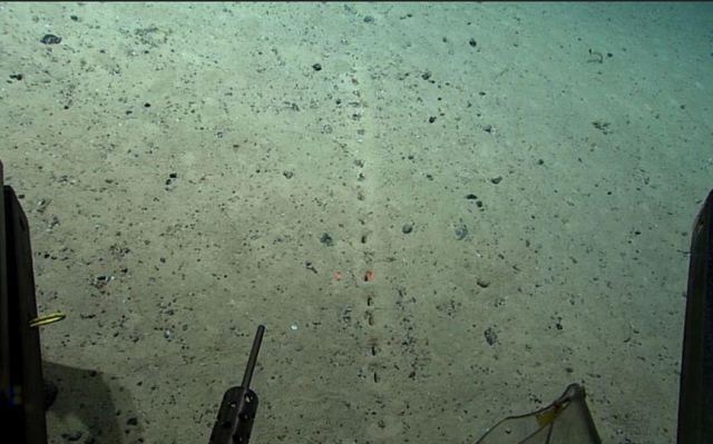 Το μυστήριο με τις τρύπες στον πάτο του ωκεανού: Κάποιοι μιλούν ακόμη και για εξωγήινους