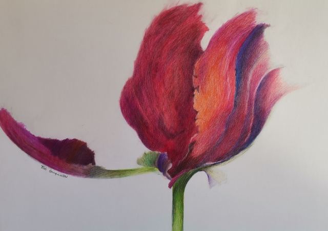 Έκθεση ζωγραφικής της Εύης Θεοφανίδου στη Δημοτική Πινακοθήκη Λαμίας