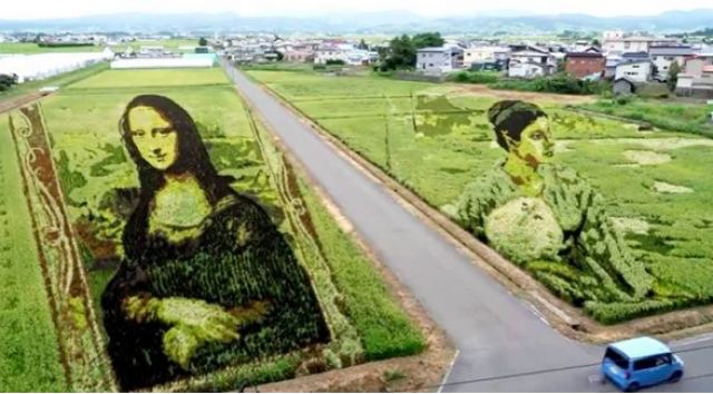 Χωριό στην Ιαπωνία ζωγραφίζει αριστουργήματα σε ρυζοχώραφα - Πώς έφτιαξαν τη Mona Lisa
