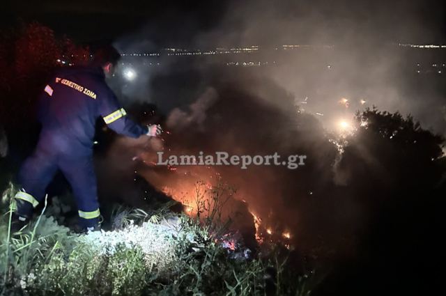 Πυρκαγιά και στην ανατολική Φθιώτιδα (ΒΙΝΤΕΟ-ΦΩΤΟ)