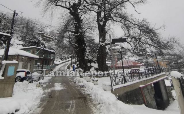Η κακοκαιρία πέρασε, το κρύο παραμένει, η Άνοιξη αργεί
