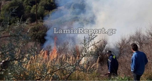 Φθιώτιδας: Πυρκαγιές σε Αχλάδι και Μαλεσίνα - ΦΩΤΟ