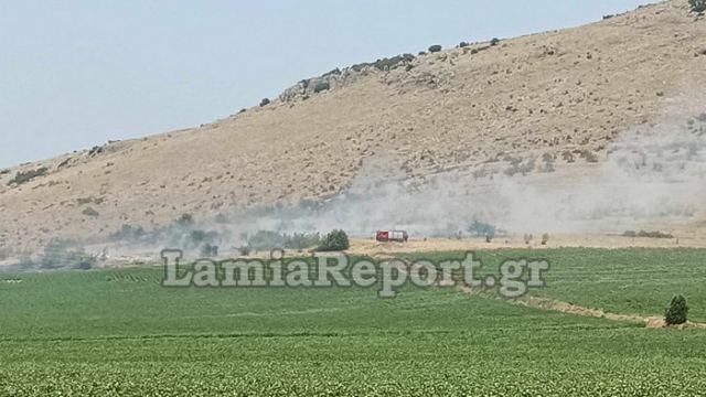 Πυρκαγιά στο Νέο Μοναστήρι - Κάηκε κολόνα της ΔΕΗ (ΒΙΝΤΕΟ)