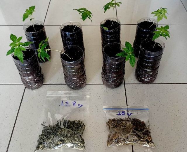 Έκρυβε στην ντουλάπα αυτοσχέδιο εργαστήριο υδροπονικής καλλιέργειας κάνναβης