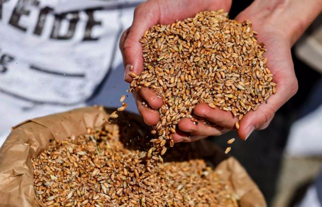 Πόλεμος στην Ουκρανία: Φεύγει από την Οδησσό το πρώτο φορτίο με σιτηρά